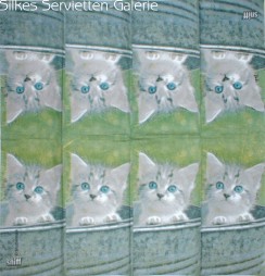 Taschentcher mit Katzen in Silkes Servietten-Galerie